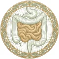 Gas & Digestive Disturbances​
